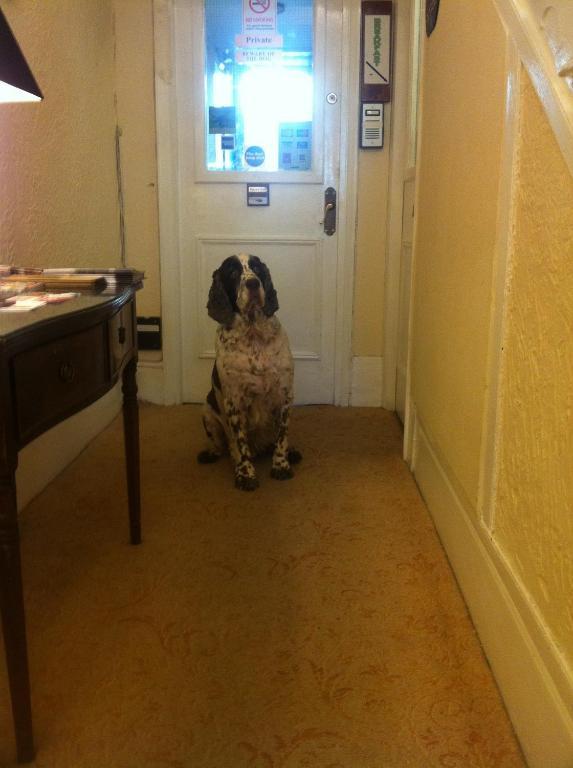 Adelaide House Hotel ลูตัน ภายนอก รูปภาพ